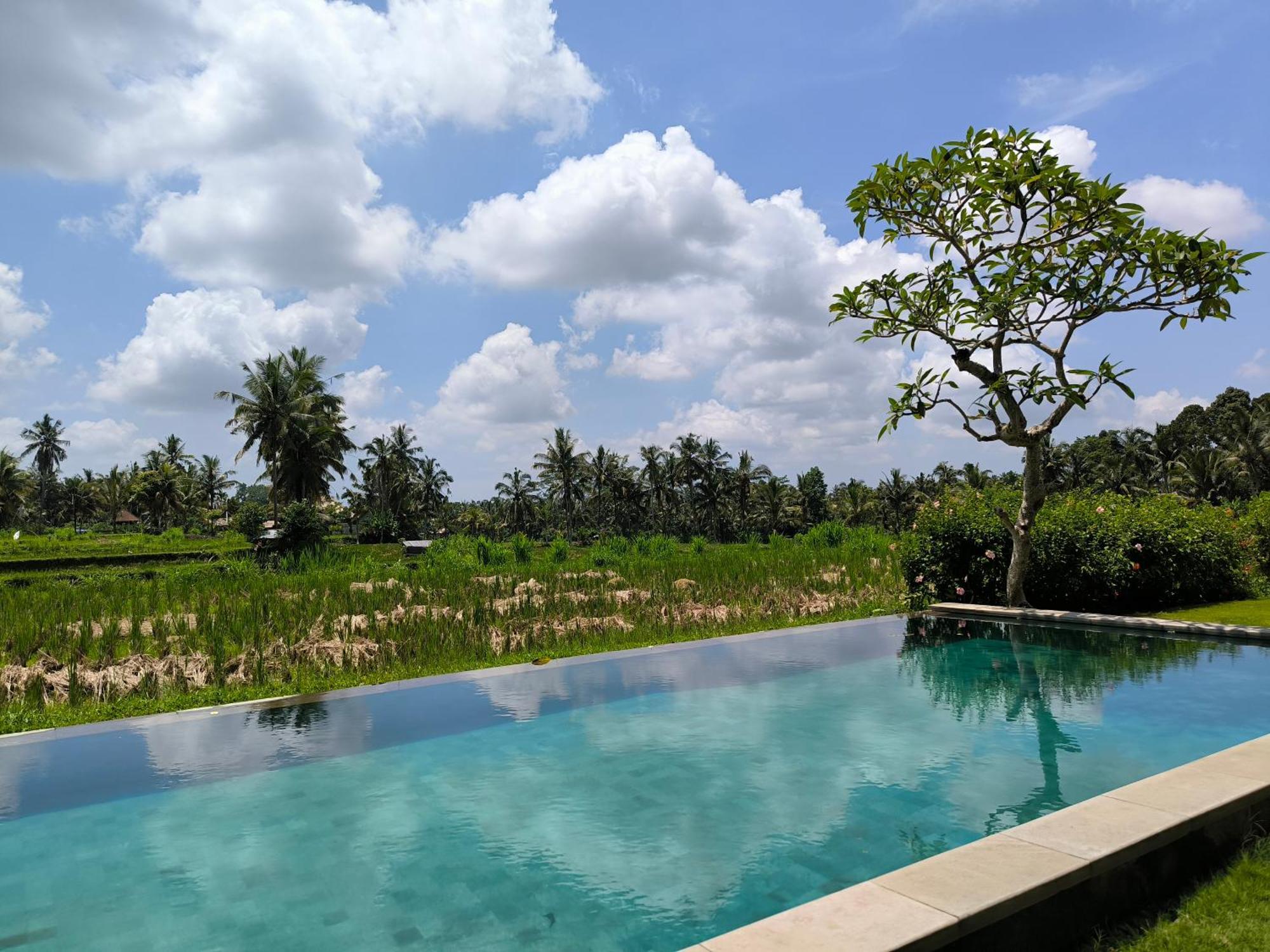 אובוד Benisari Batik Garden Cottage חדר תמונה